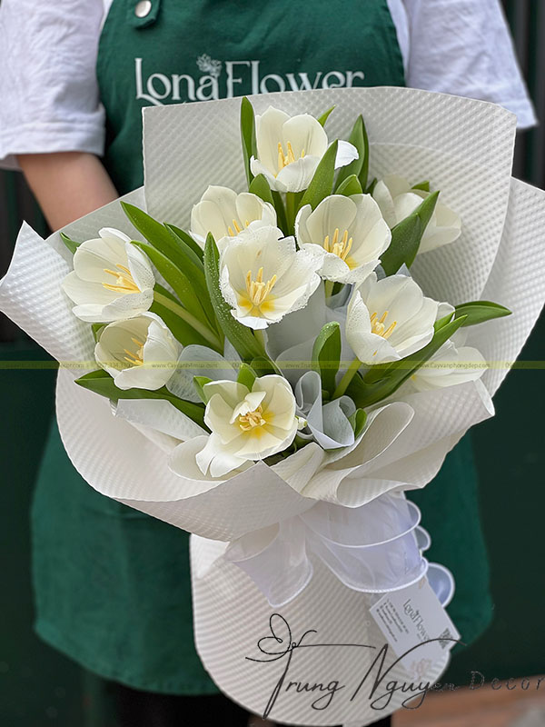 Bó Hoa Tulip Trắng-T04