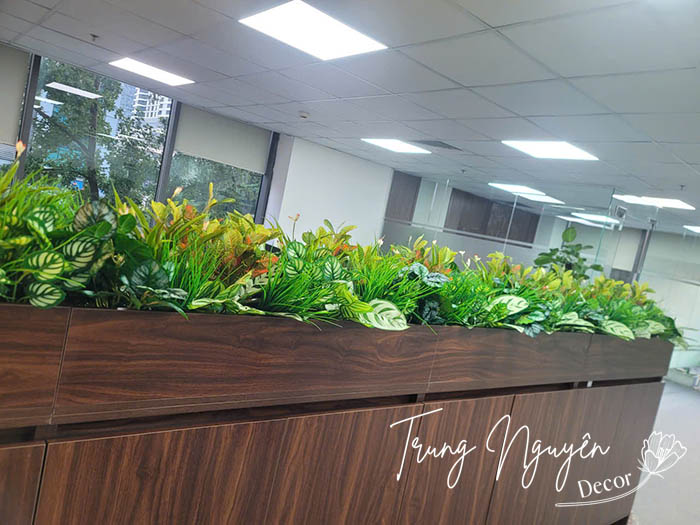 Cây giả cho bồn văn phòng tại Ngoại Giao Đoàn
