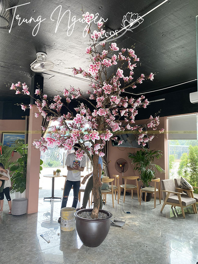 Cây Mộc Lan Giả Thi Công Tại Bắc Ninh