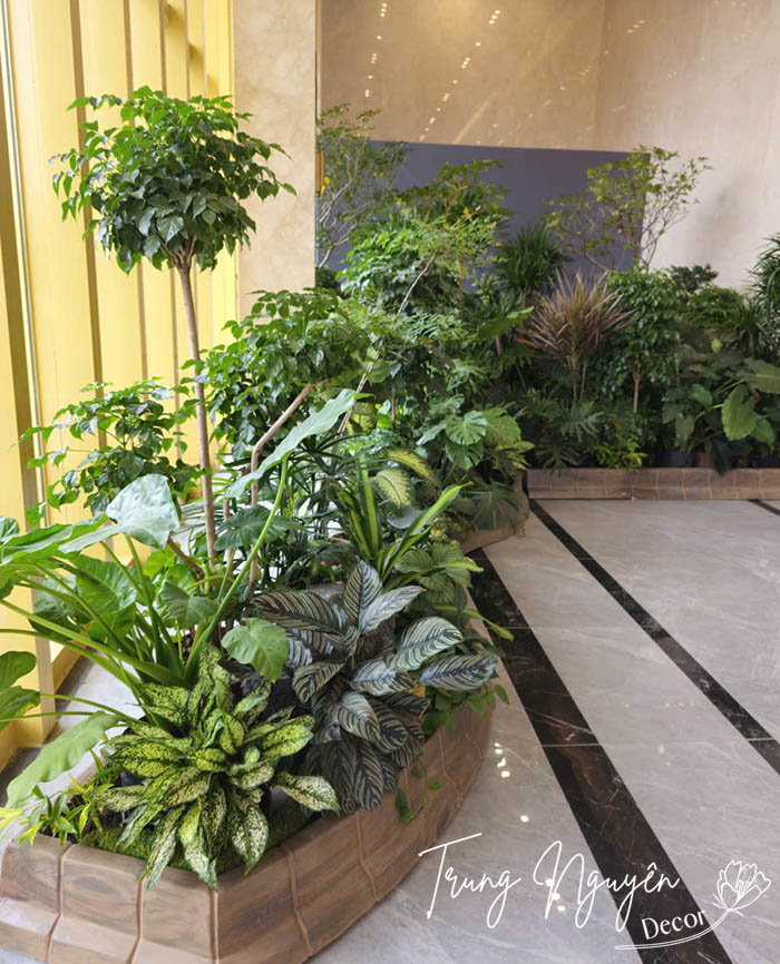 Cây cho thuê sự kiện trang trí sân khấu Hà Nội