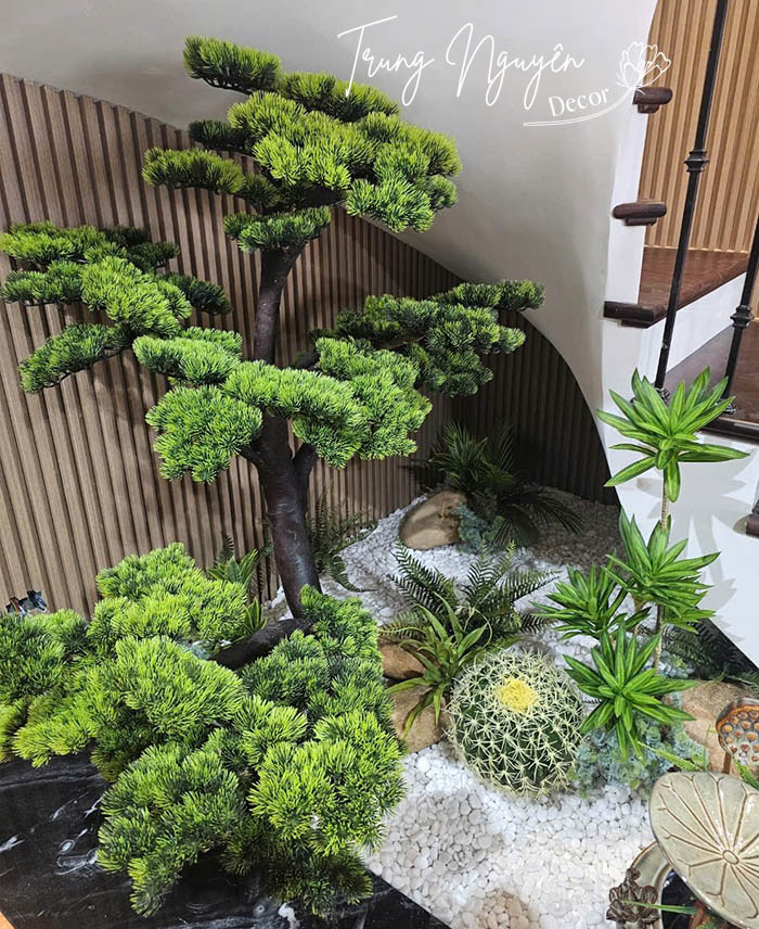 CÂY TÙNG LA HÁN GIẢ DECOR 