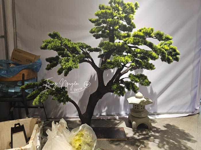 CÂY TÙNG LA HÁN GIẢ DECOR 