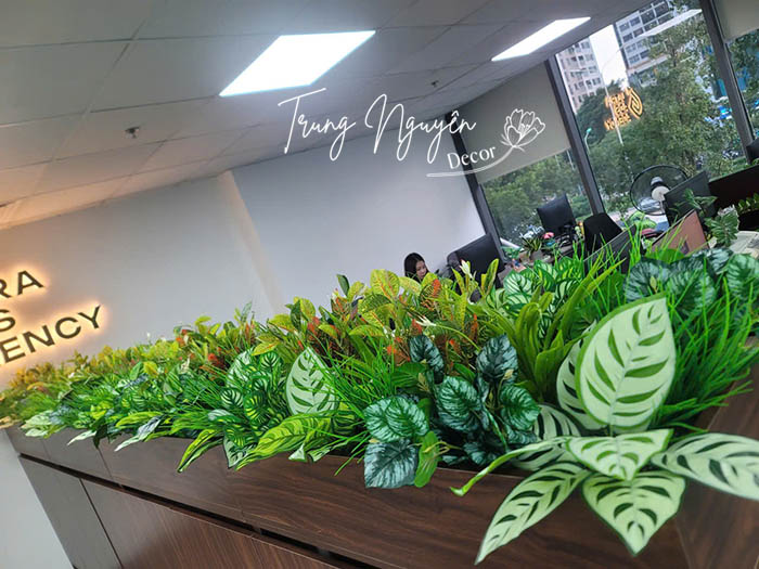 Cây giả cho bồn văn phòng tại Ngoại Giao Đoàn
