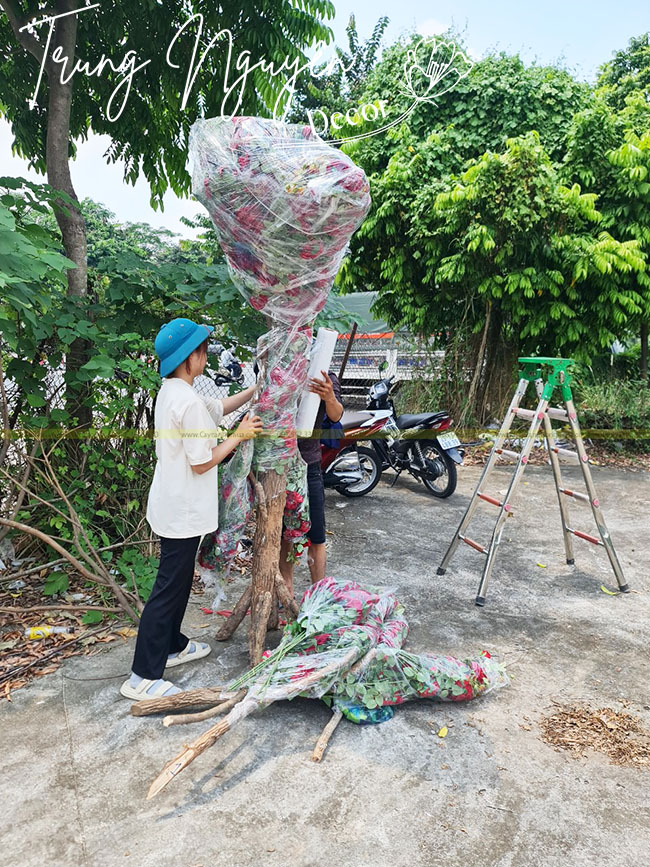 Cây Hoa Hồng Giả 