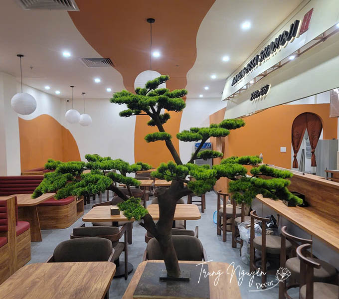 CÂY TÙNG LA HÁN GIẢ DECOR 