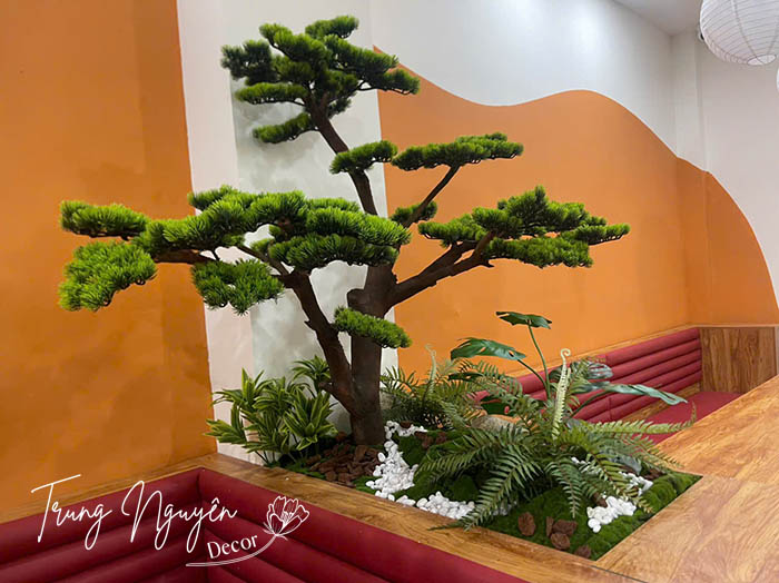 CÂY TÙNG LA HÁN GIẢ DECOR 