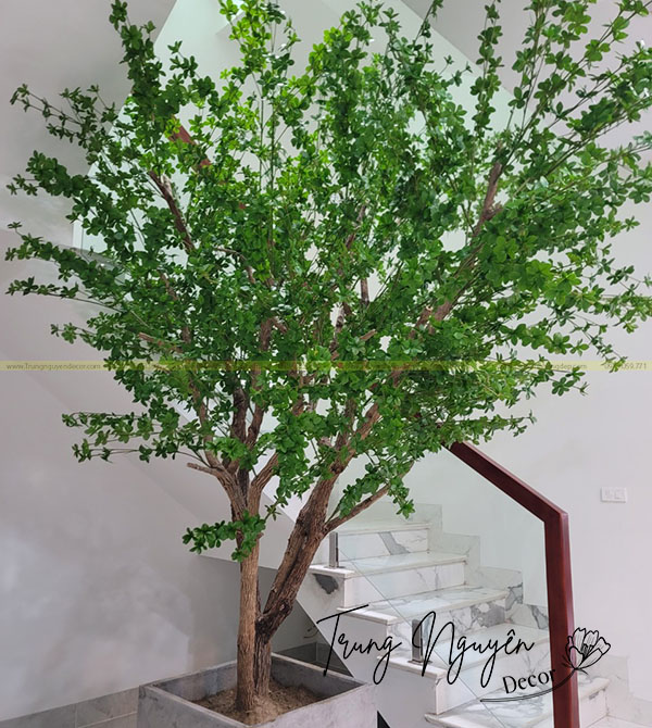 Cây Thạch Nam Giả