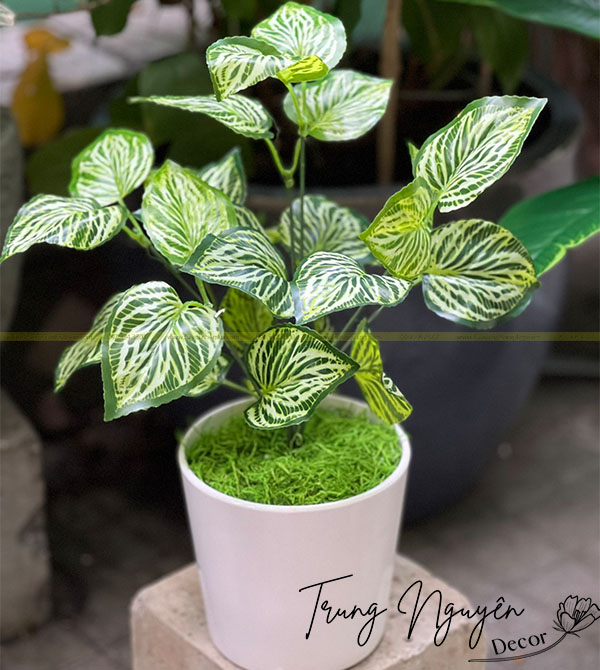 Cành Lá Giả 7 Cuống