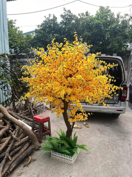 Mẫu cây giả Decor Tết