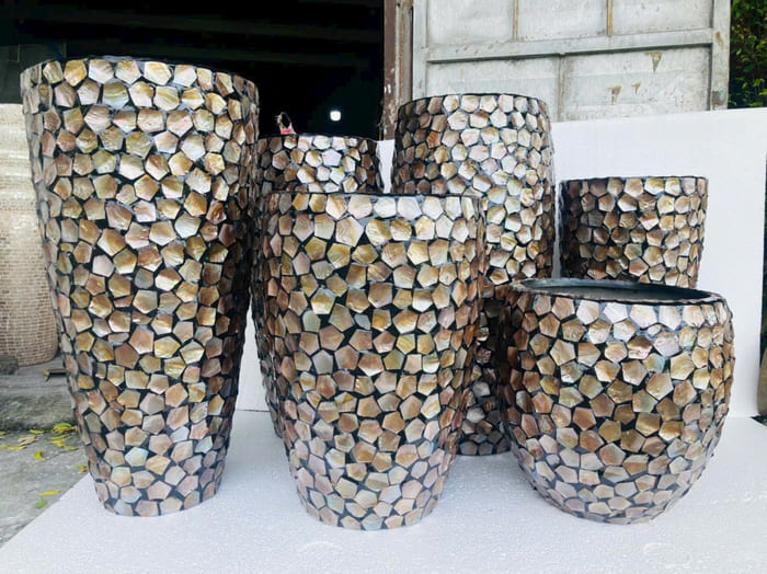 Chậu Khảm Trai