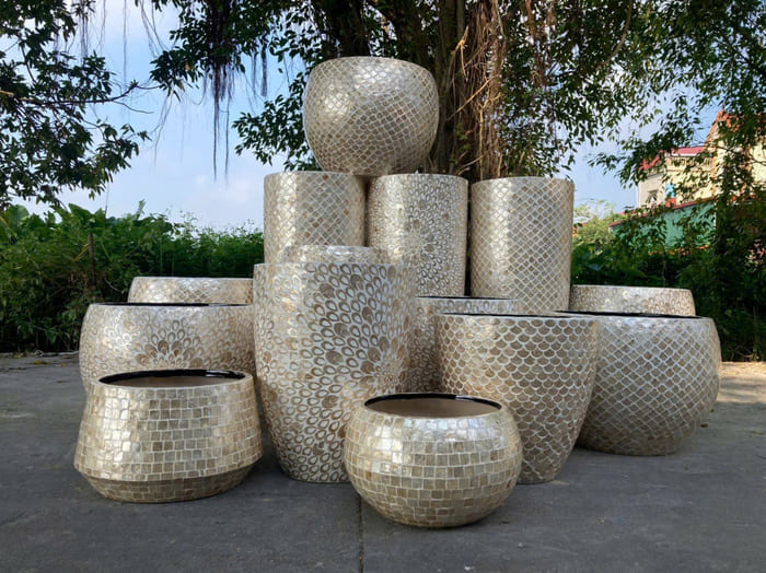 Chậu Khảm Trai