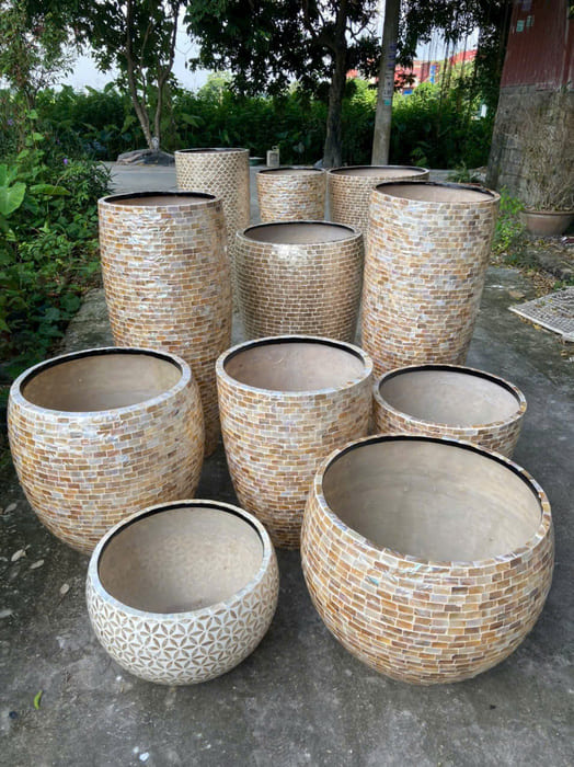 Chậu Khảm Trai
