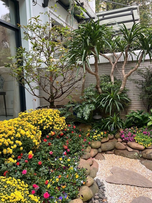 Trồng hoa sân vườn, biệt thự