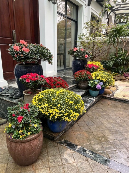 Trồng hoa sân vườn, biệt thự