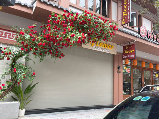 Giàn hoa hồng nhung lụa