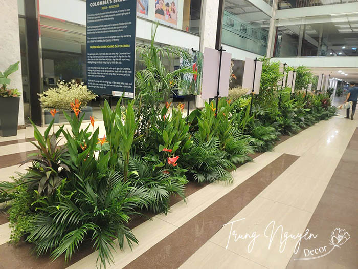 Cho thuê cây sự kiện nước Colombia