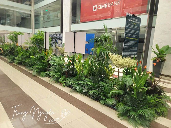 Cho thuê cây sự kiện nước Colombia