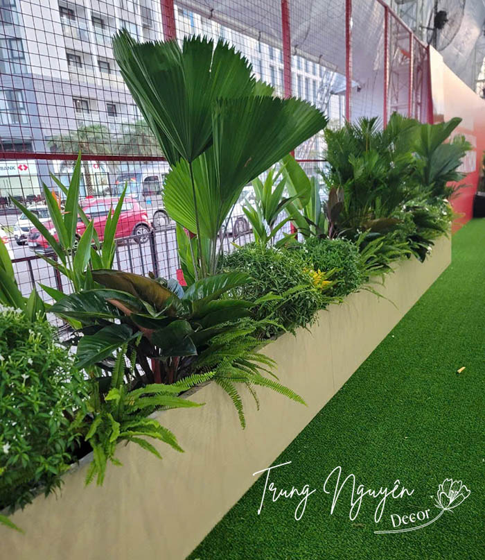 Cho thuê cây sự kiện giải chạy Marathon của Techcombank