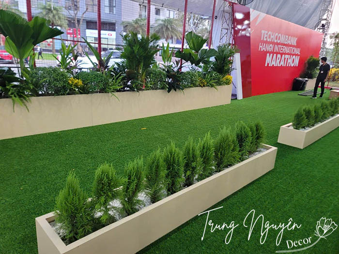Cho thuê cây sự kiện giải chạy Marathon của Techcombank