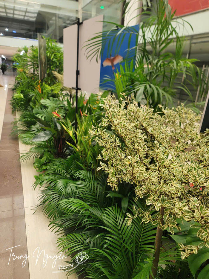 Cho thuê cây sự kiện nước Colombia