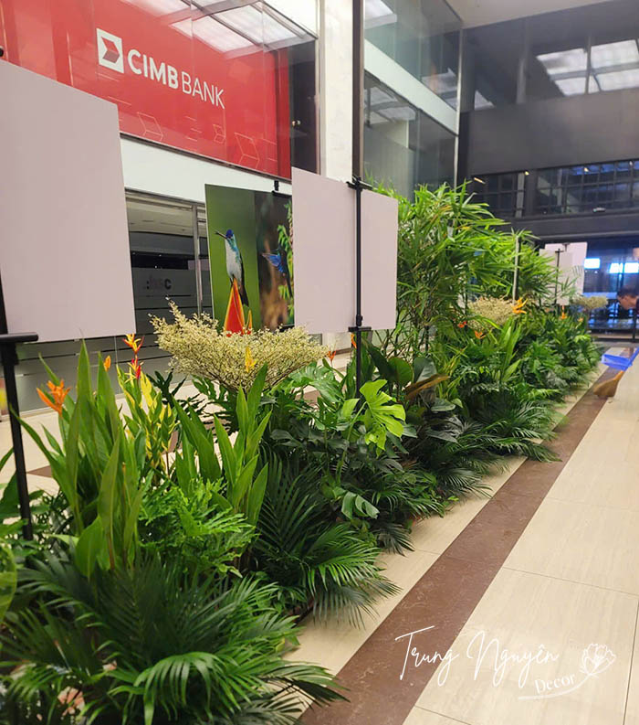 Cho thuê cây sự kiện nước Colombia