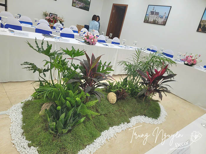 Tiểu cảnh cây xanh cho thuê sự kiện