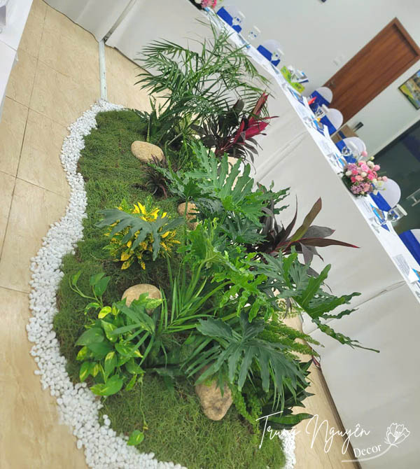 Tiểu cảnh cây xanh cho thuê sự kiện