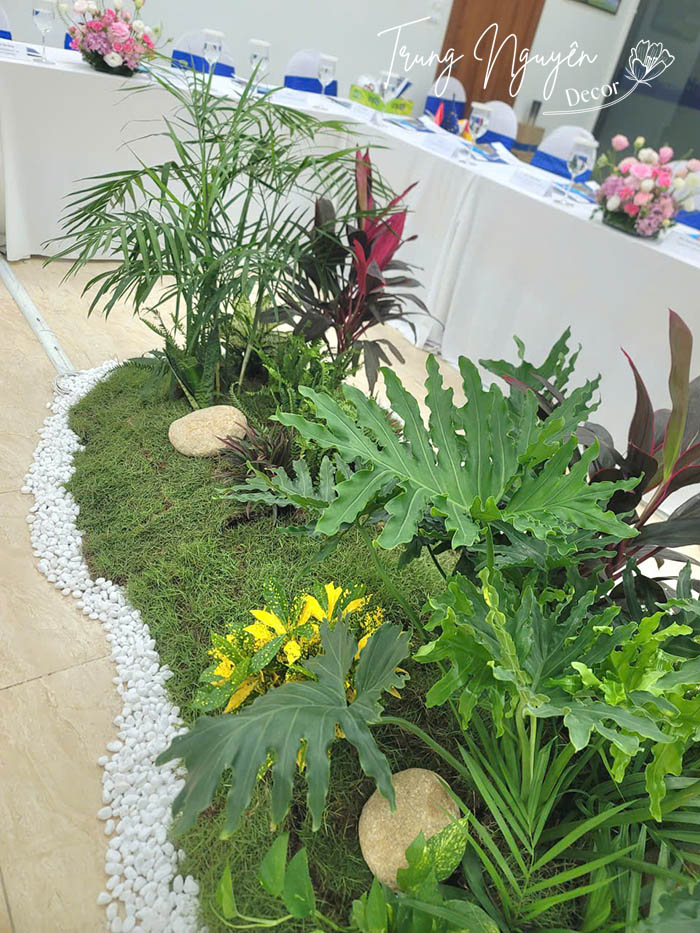 Tiểu cảnh cây xanh cho thuê sự kiện