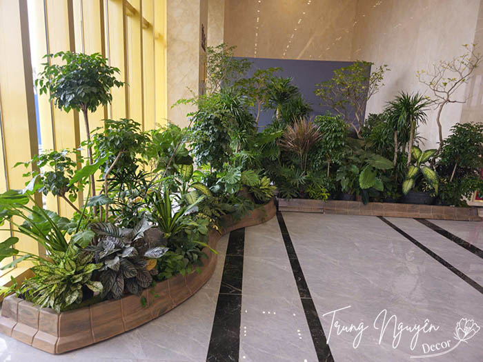 Cây cho thuê sự kiện trang trí sân khấu Hà Nội