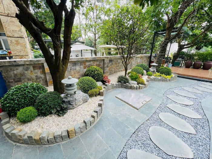 Cây tán tròn trồng sân vườn nhật 