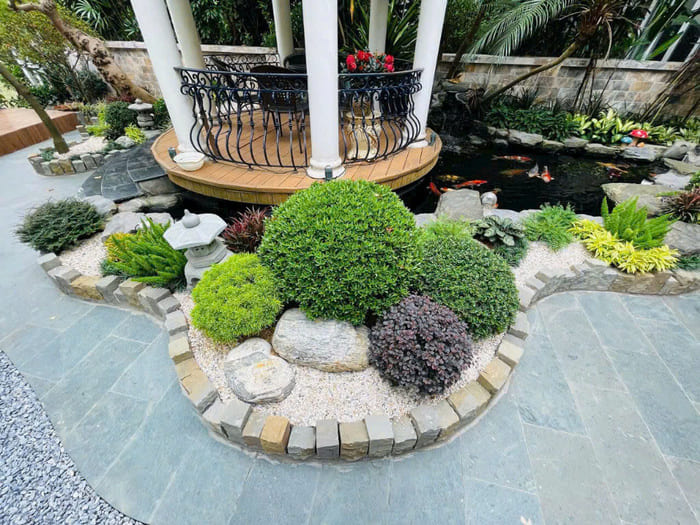 Cây tán tròn trồng sân vườn nhật 