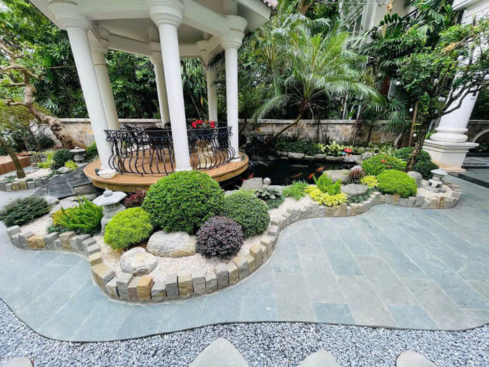 Cây tán tròn trồng sân vườn nhật 