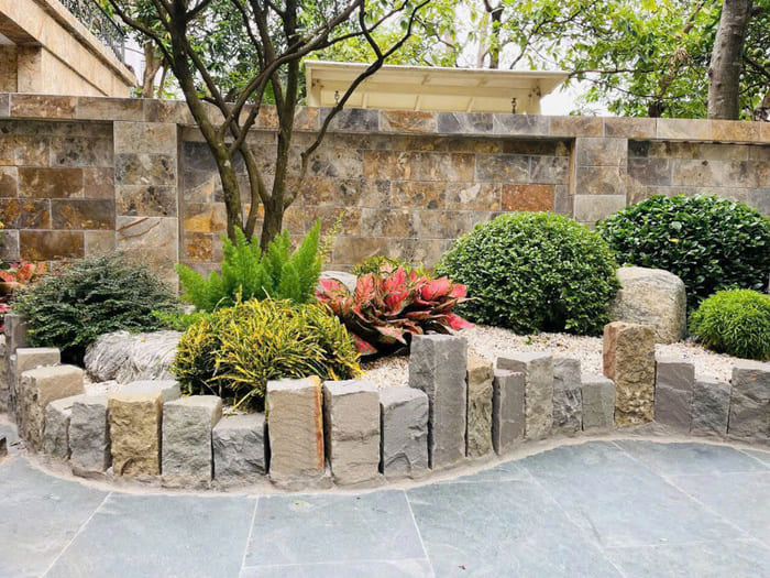 Cây tán tròn trồng sân vườn nhật 