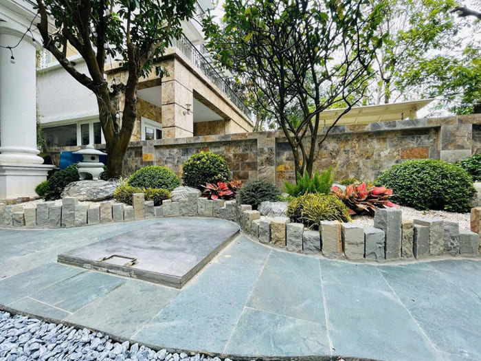 Cây tán tròn trồng sân vườn nhật 