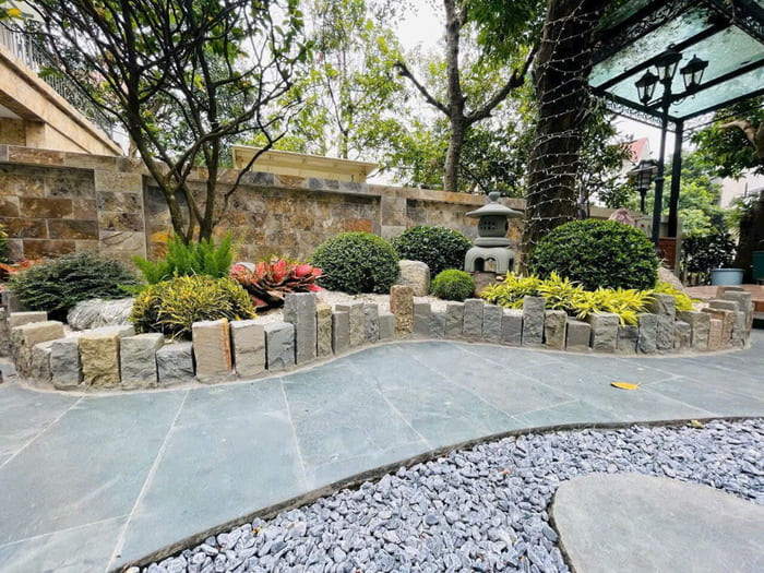 Cây tán tròn trồng sân vườn nhật 