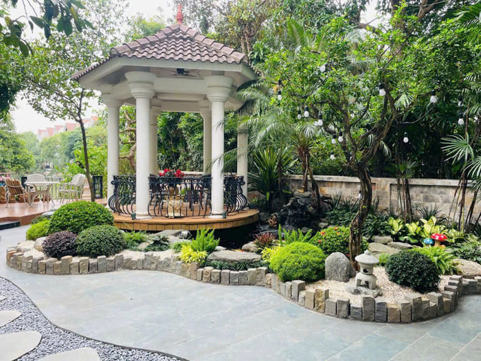 Cây tán tròn trồng sân vườn nhật 