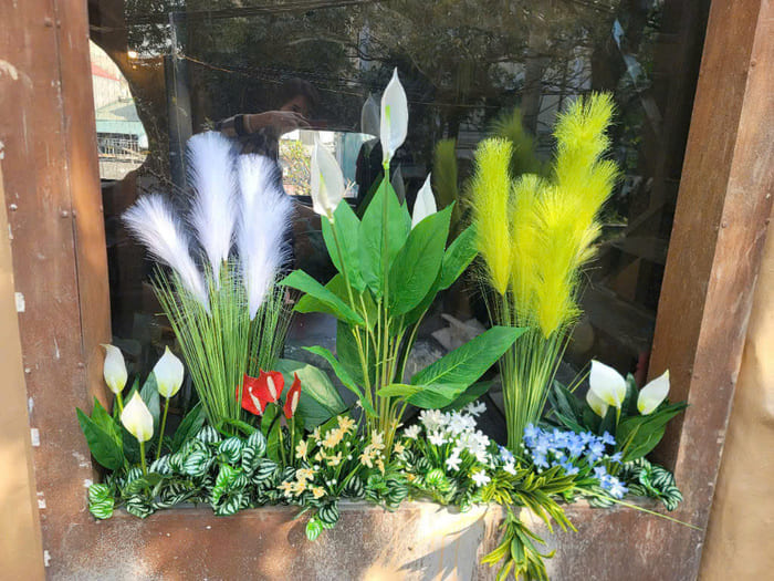 Cây xương rồng giả quán Cafe mix