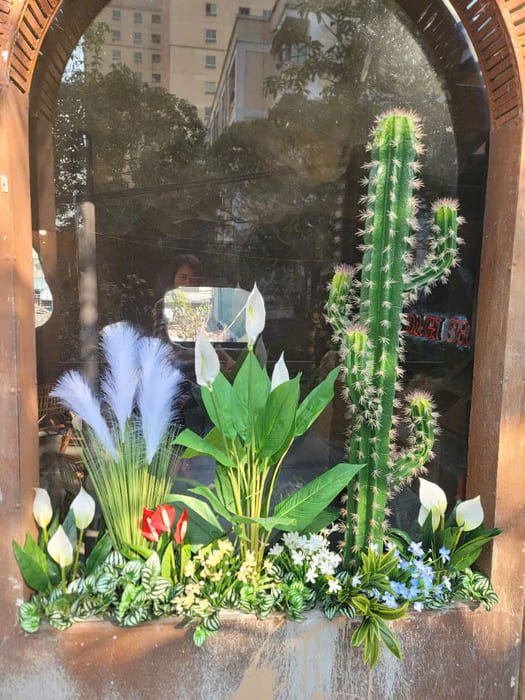 Cây xương rồng giả quán Cafe mix