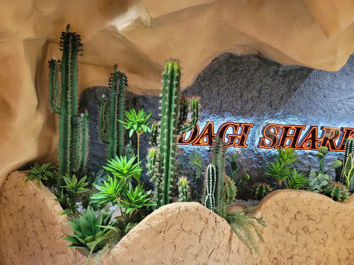 Cây xương rồng giả quán Cafe mix