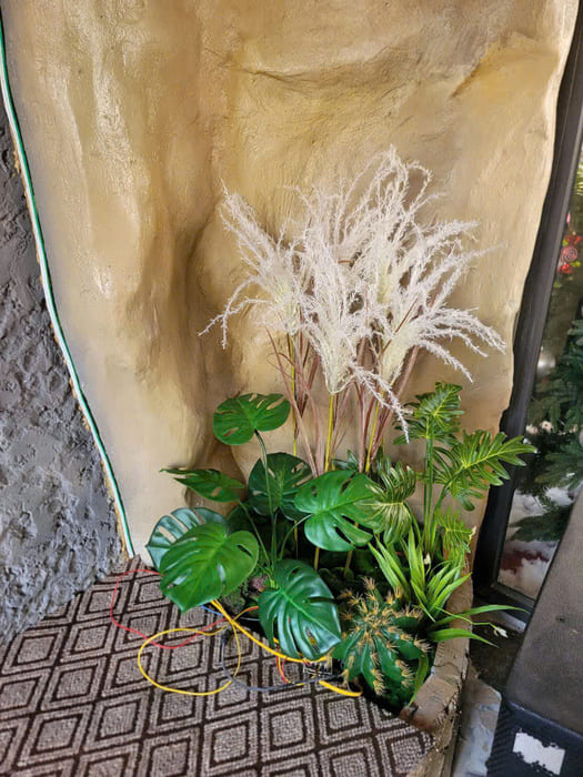 Cây xương rồng giả quán Cafe mix