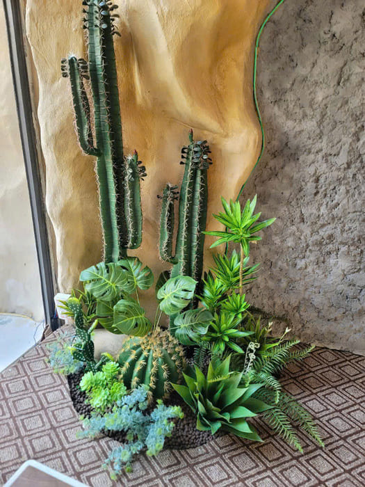 Cây xương rồng giả quán Cafe mix