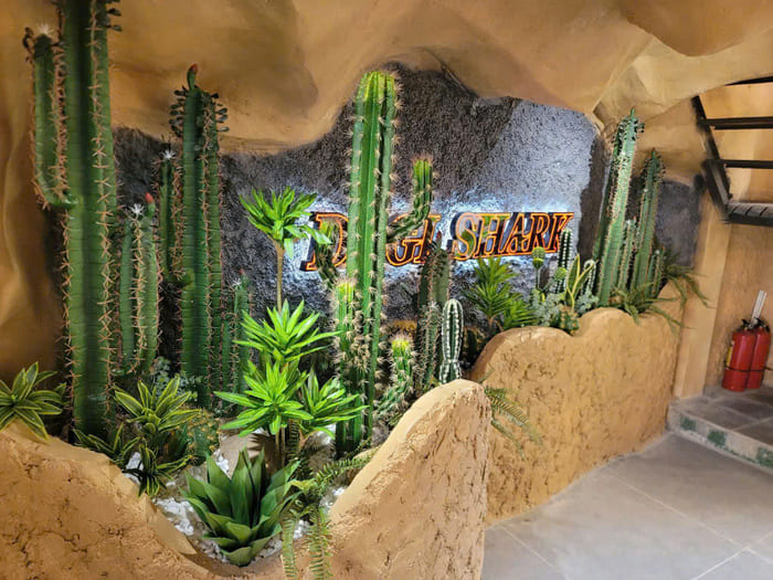 Cây xương rồng giả quán Cafe mix