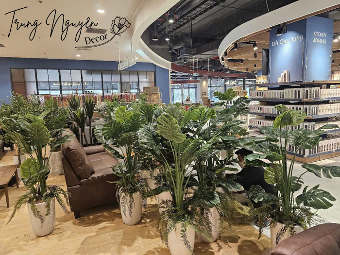 Chậu cây giả Oliu, Motera, Phát Tài Núi sự kiện