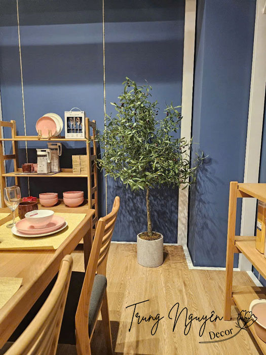 Chậu cây giả Oliu, Motera, Phát Tài Núi sự kiện