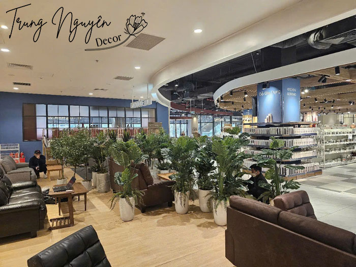 Chậu cây giả Oliu, Motera, Phát Tài Núi sự kiện