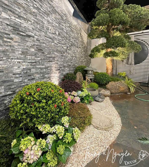 Cây trồng sân vườn Nhật Bản bền đẹp
