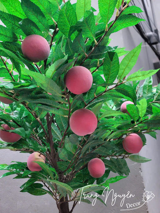 Cây đào quả hồng giả