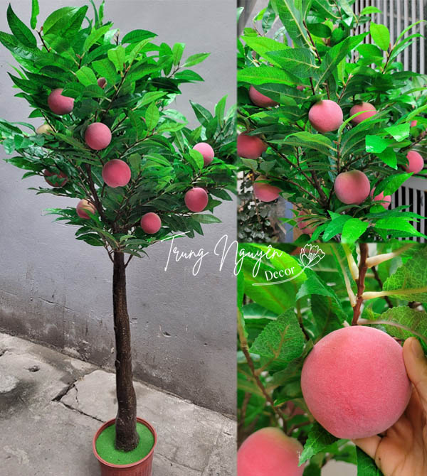 Cây đào quả hồng giả