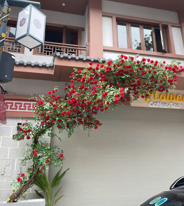 Giàn hoa hồng nhung lụa