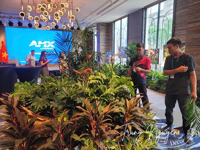 Cho thuê cây cảnh sự kiện Hà Nội